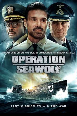 Operation Seawolf - Missione finale streaming